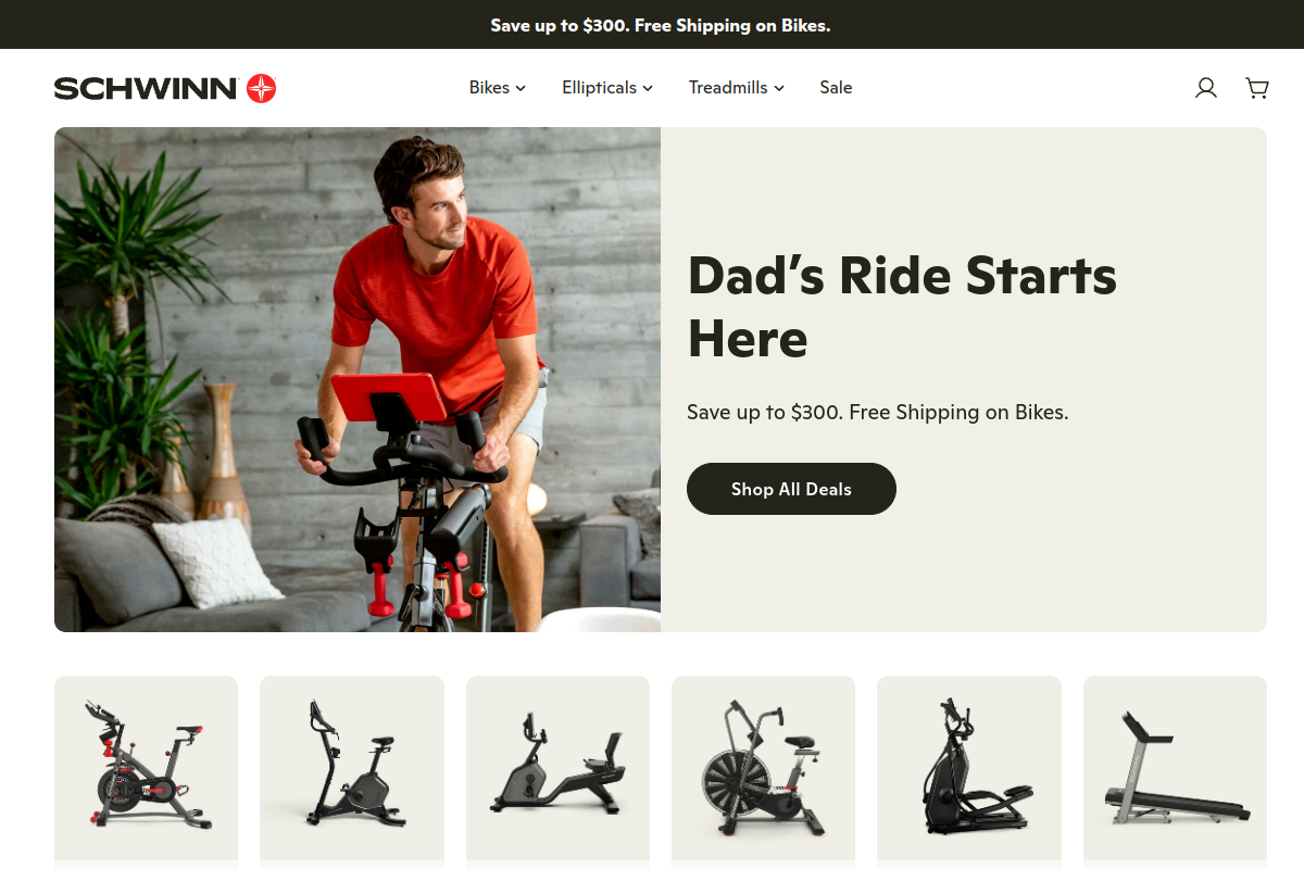 Schwinn IC4