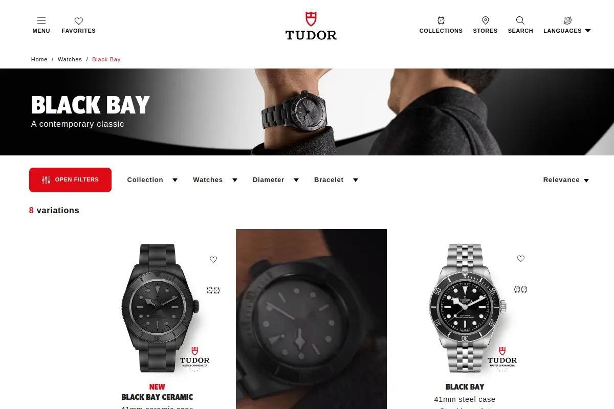 Tudor Black Bay