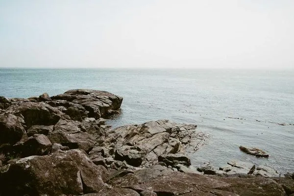 Qobuz
