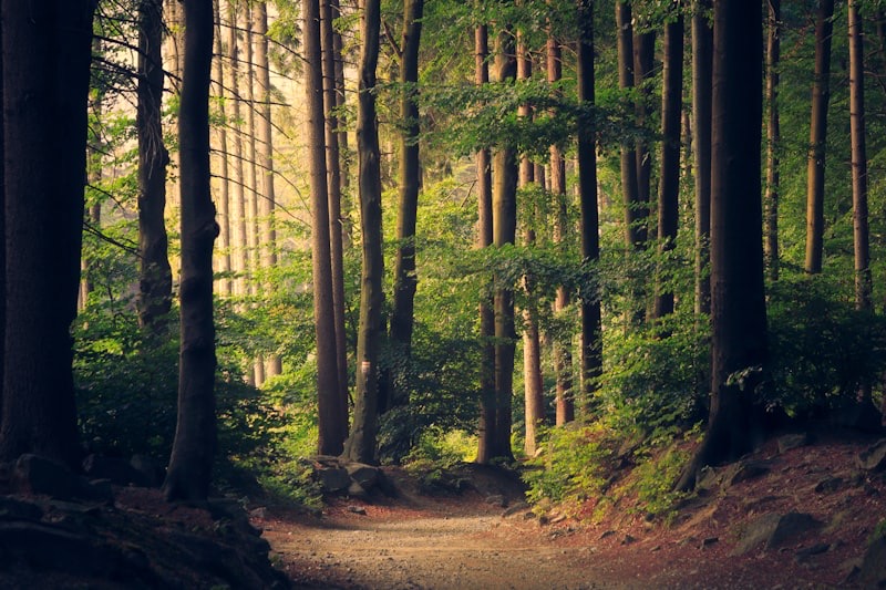 Campbell Valley Regional Park